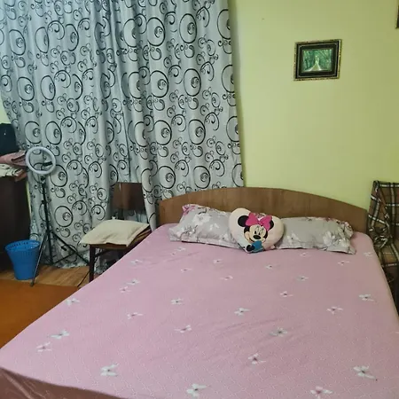 Homestay szállás La Mine Acasa Sulina