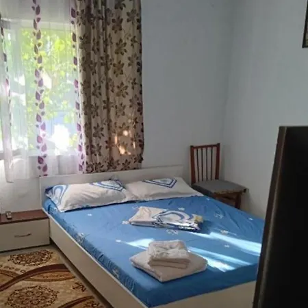 Homestay szállás La Mine Acasa Sulina