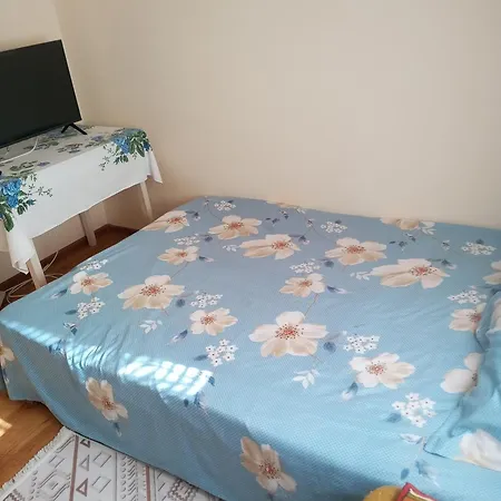 La Mine Acasa * Sulina