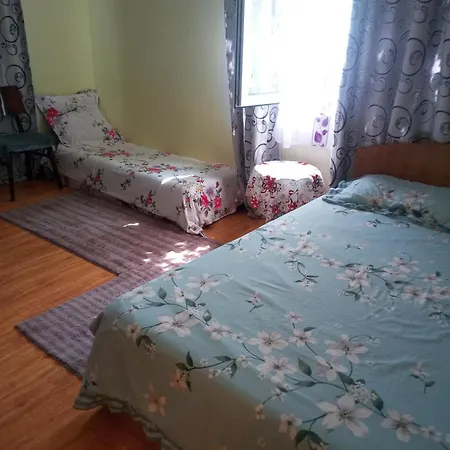 Homestay szállás La Mine Acasa